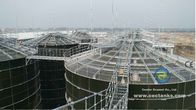 Enamel Coated Steel Dry Bulk Grain Storage Silos With Excellent Corrosion Resistance