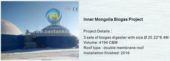 Durability Biogas Storage Tank System for Turnkey Solutions in Bioenergy Projects 0