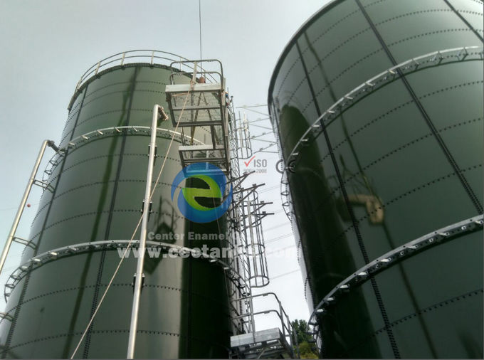 Global Leading Products Bio-Energy Digesters Tank Factory Biogas Storage System 0