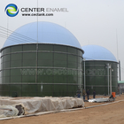 Anaerobic Digestion Biogas Tanks 18000m3 ART 310 Steel Grade