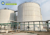 0.25mm Coating Thickness Biogas Plant Project Environmentally Friendly