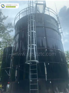 Innovative Biogas Solutions and A2O Process for Nepal Municipal Wastewater Treatment Project