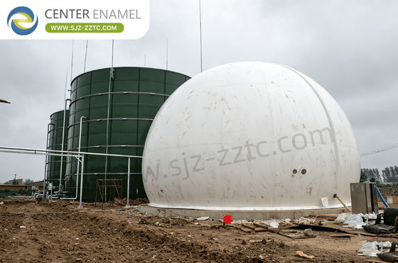 South Africa Cow Dung Treatment with CSTR Process and Professional EPC Contractor