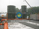 Biogas Storage Tank Superior EPC Turnkey Supplier for Waste Biogas Power Full Packaged System