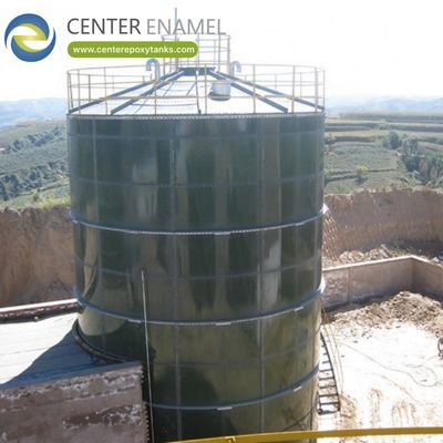 Biogas Tank for Pig Farm Plants: The main container for biogas digestion.