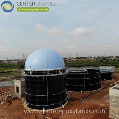 Biogas Holder Balloon for an Anaerobic Digestion Tank: Integrated Gas Storage for Biogas Production