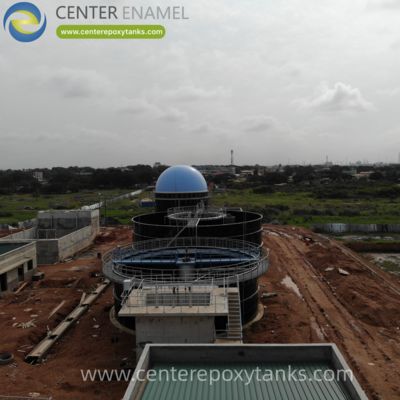 Biogas Holder Balloon for a Mini Biogas Digester: A Simple, Flexible, and Low-Cost Solution for Integrated Gas Collection