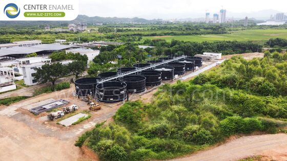 High-Performance GFS Tanks and Anaerobic Digestion for Singapore Bagasse Biogas Projects