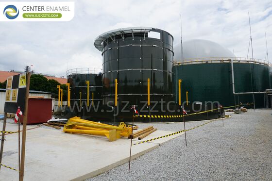 Best Biogas Solution Provider with GFS Tanks for Turkey Distillers Grains Treatment 