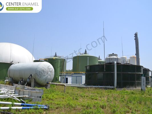 Leading Biogas Project Contractor with CSTR Process for South Africa Cattle Manure Treatment