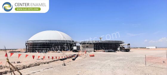 Leading Biogas Solution Provider for CSTR Reactor Poultry Manure Treatment in Brazil