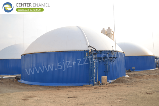 Leading Biogas Solution Provider with CSTR Process for Egypt Livestock Manure Treatment 