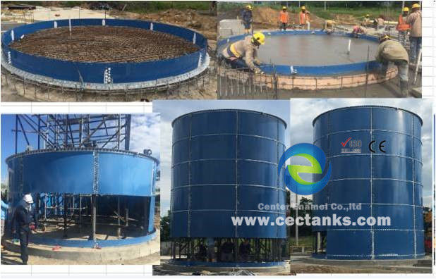 Turnkey EPC Project Biogas Power Plant with Anaerobic Digester Glass Fused-to Steel Tank 2