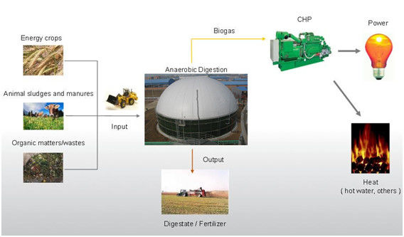 EPC USR/CSTR Biogas Anaerobic Fermentation Biogas Storage Tank  Waste to Energy Project Plant 1
